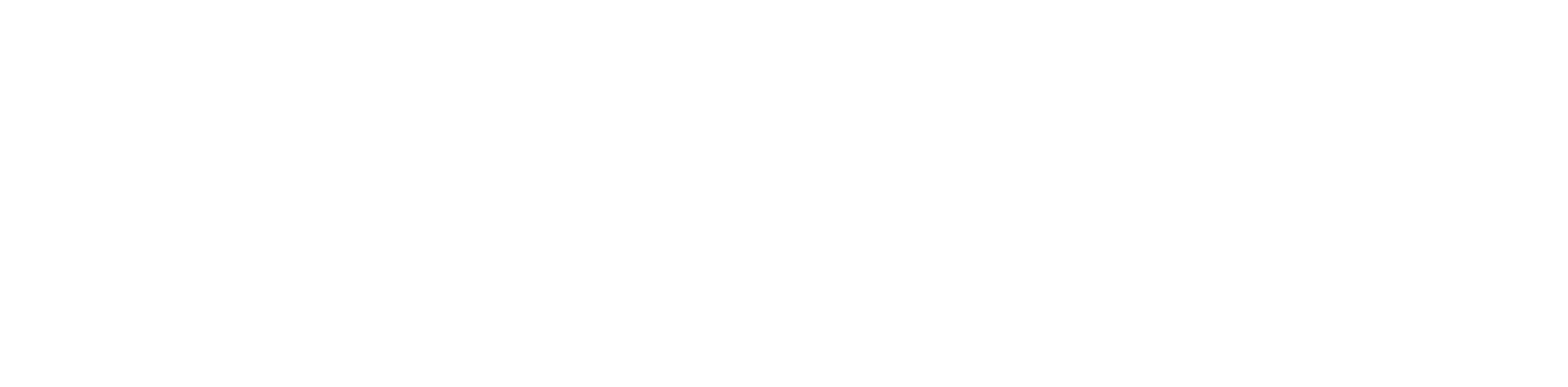 whiteLogoNoBackground